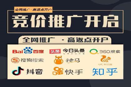SEO与SEM融合策略：成功案例解析